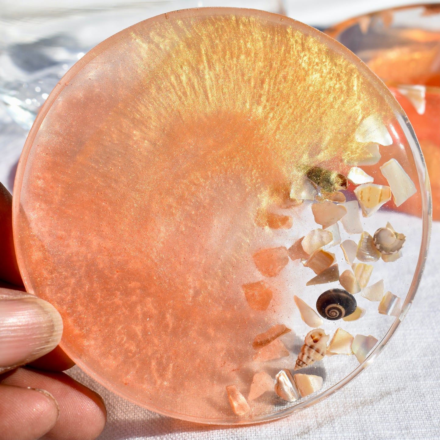 Seashell Coasters with Holder (Assorted Colors)