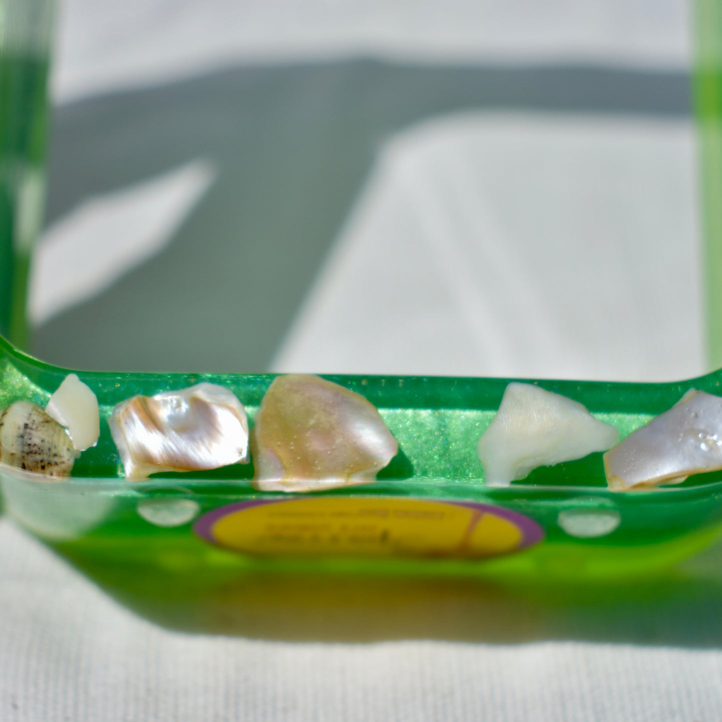 Seashell Propagation Vase (2-piece set) • Hydroponic Plant Cutting Vase