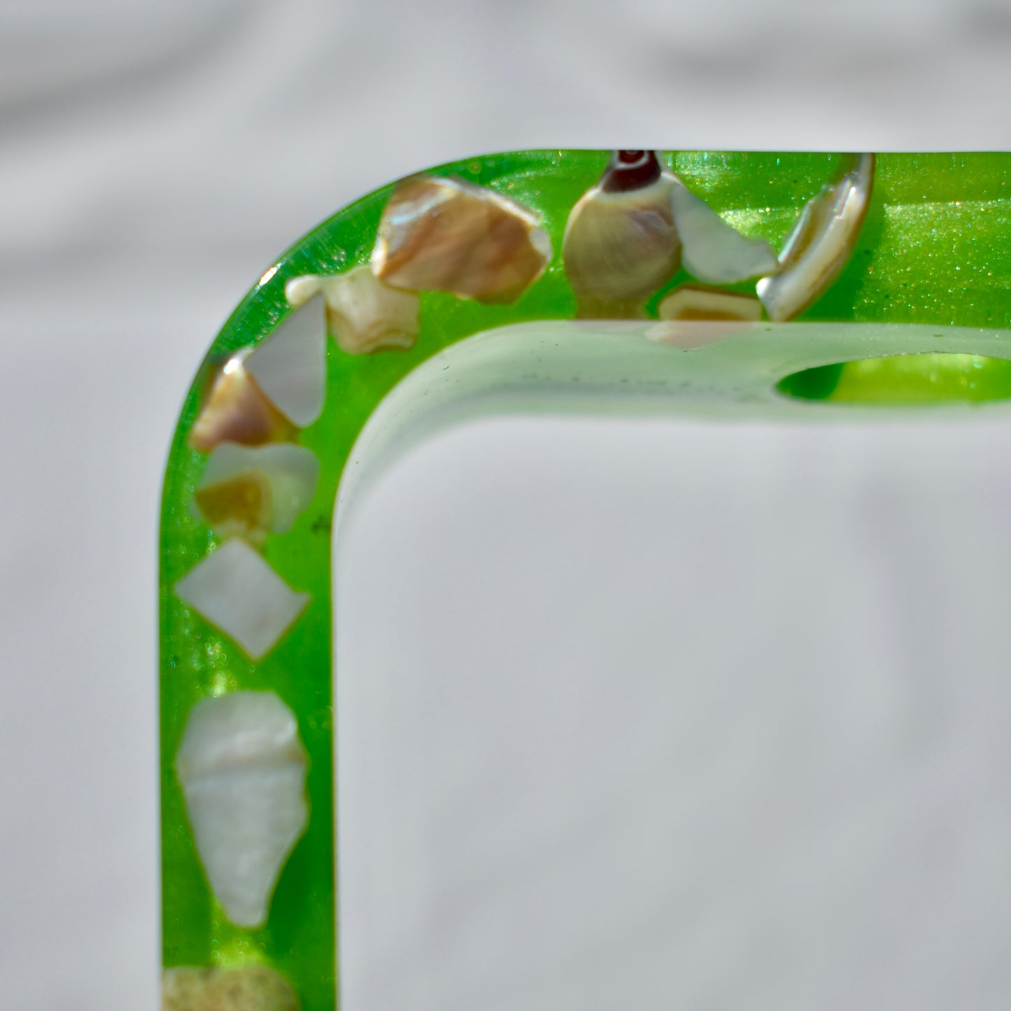 Seashell Propagation Vase (2-piece set) • Hydroponic Plant Cutting Vase