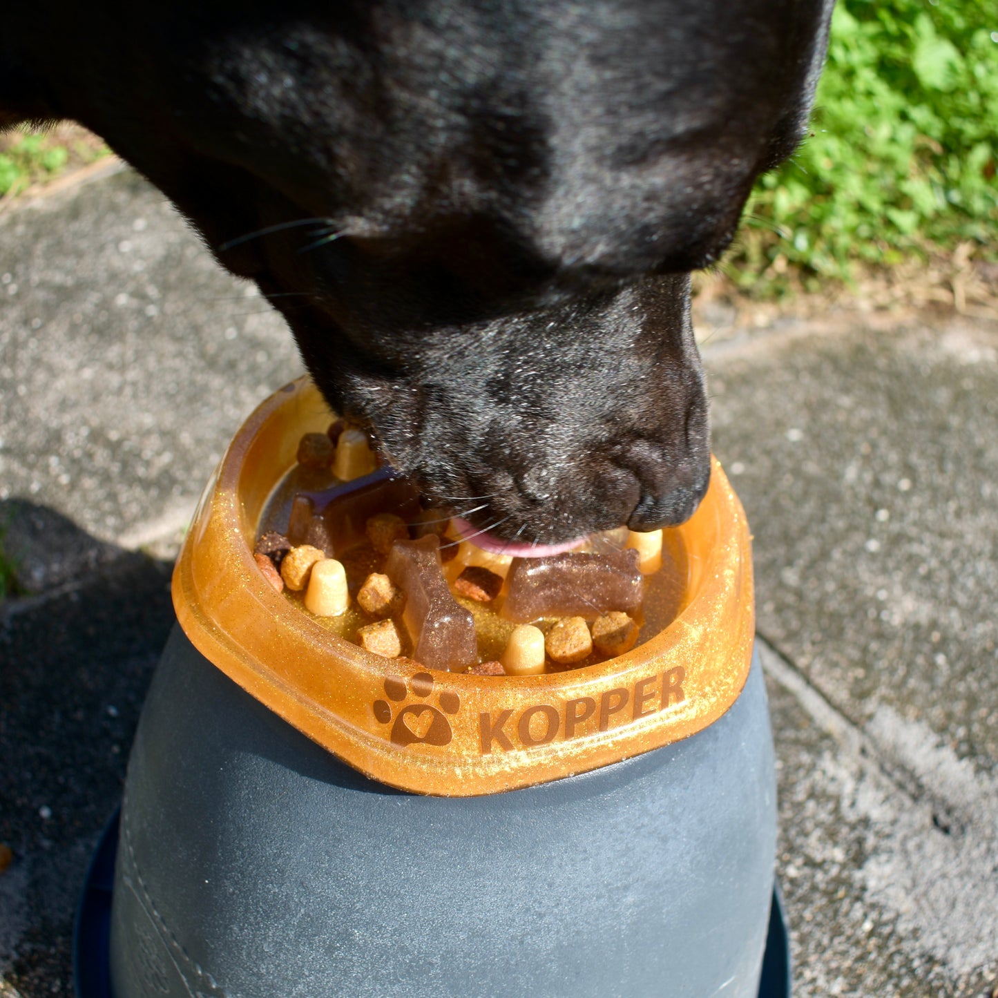 Personalized SLOW FEEDER Dog Bowl