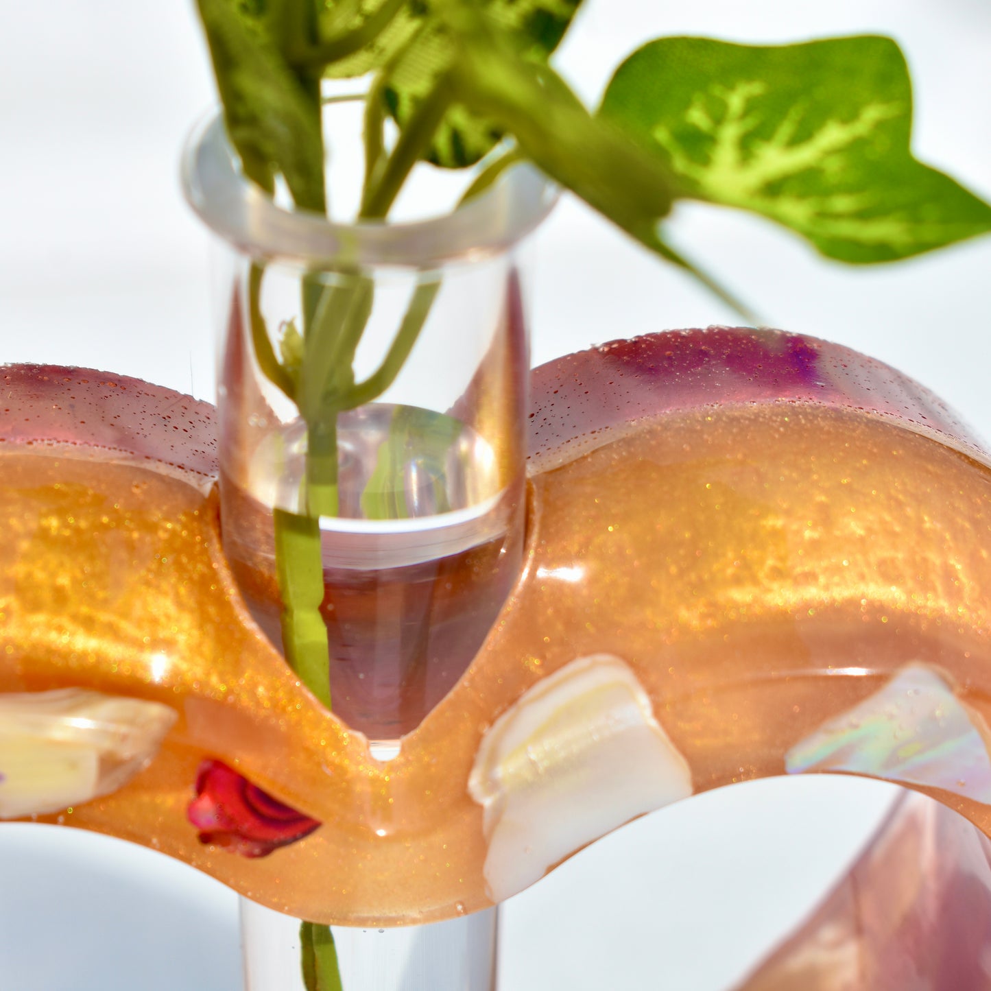 Heart Shaped Propagation Vase (2-piece set) • Hydroponic Plant Cutting Vase