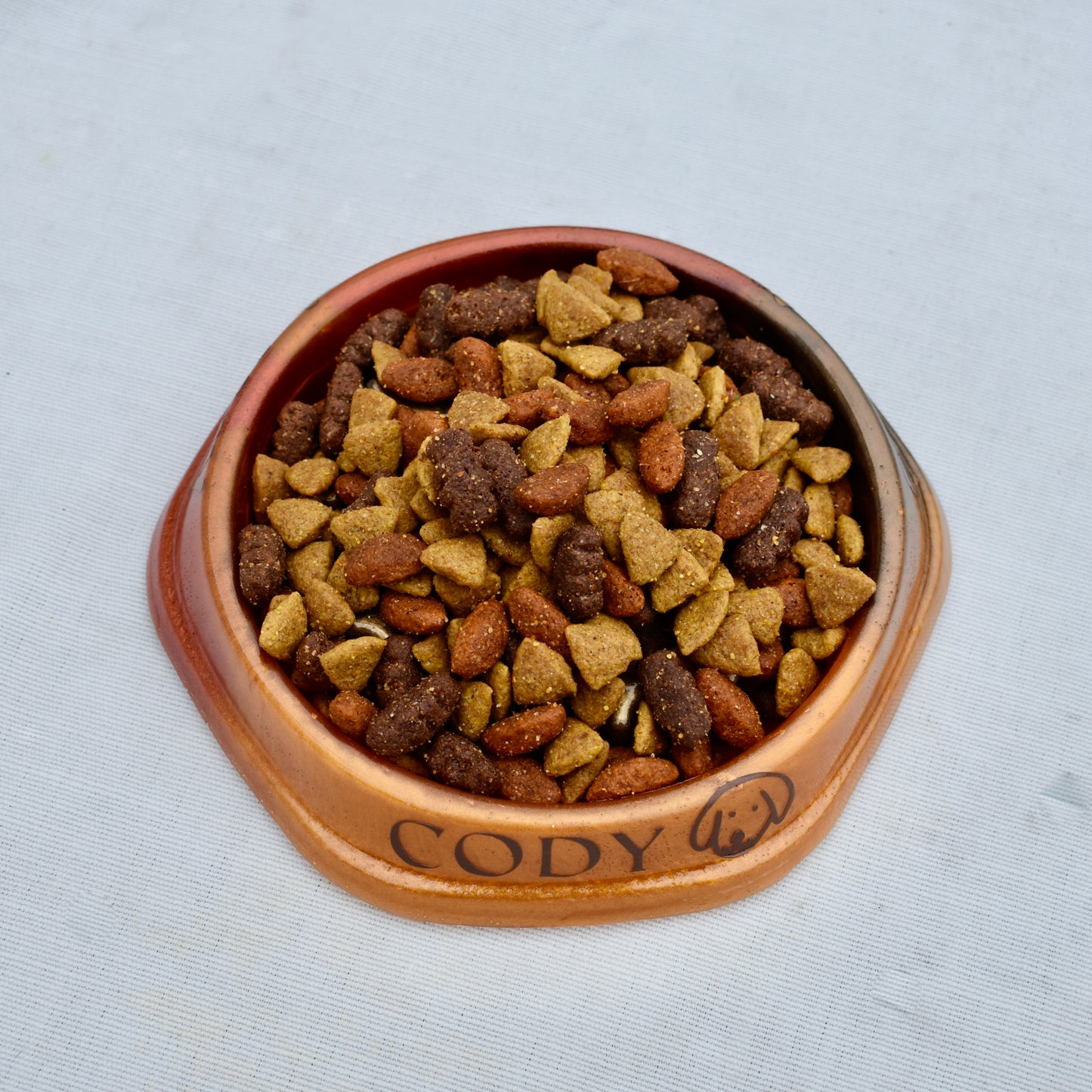 Personalized SLOW FEEDER Dog Bowl
