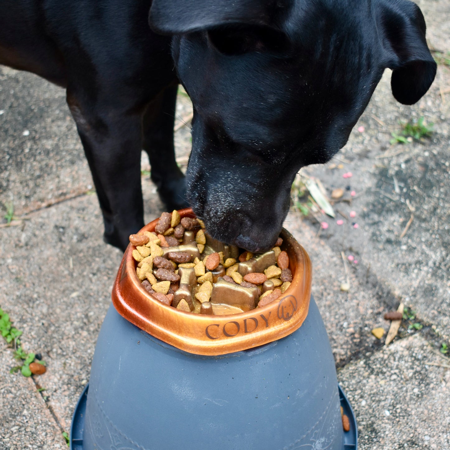 Personalized SLOW FEEDER Dog Bowl