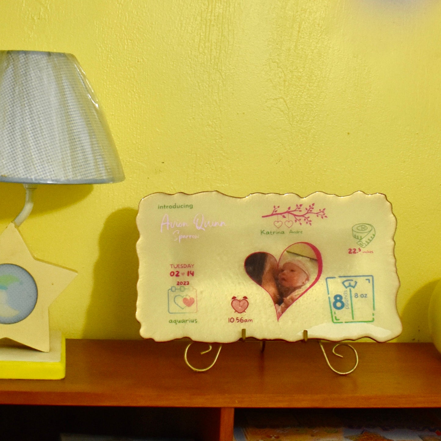 Personalized Birth Announcement Sign • Personalized Newborn Baby Stats Plaque