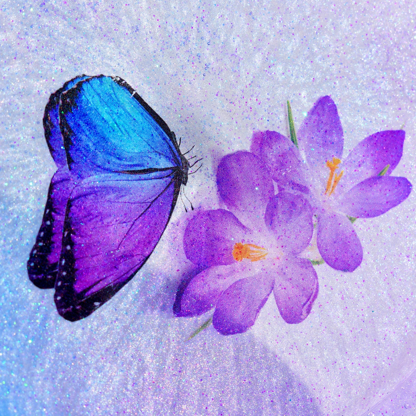 3D Butterfly Coasters (Assorted Colors)