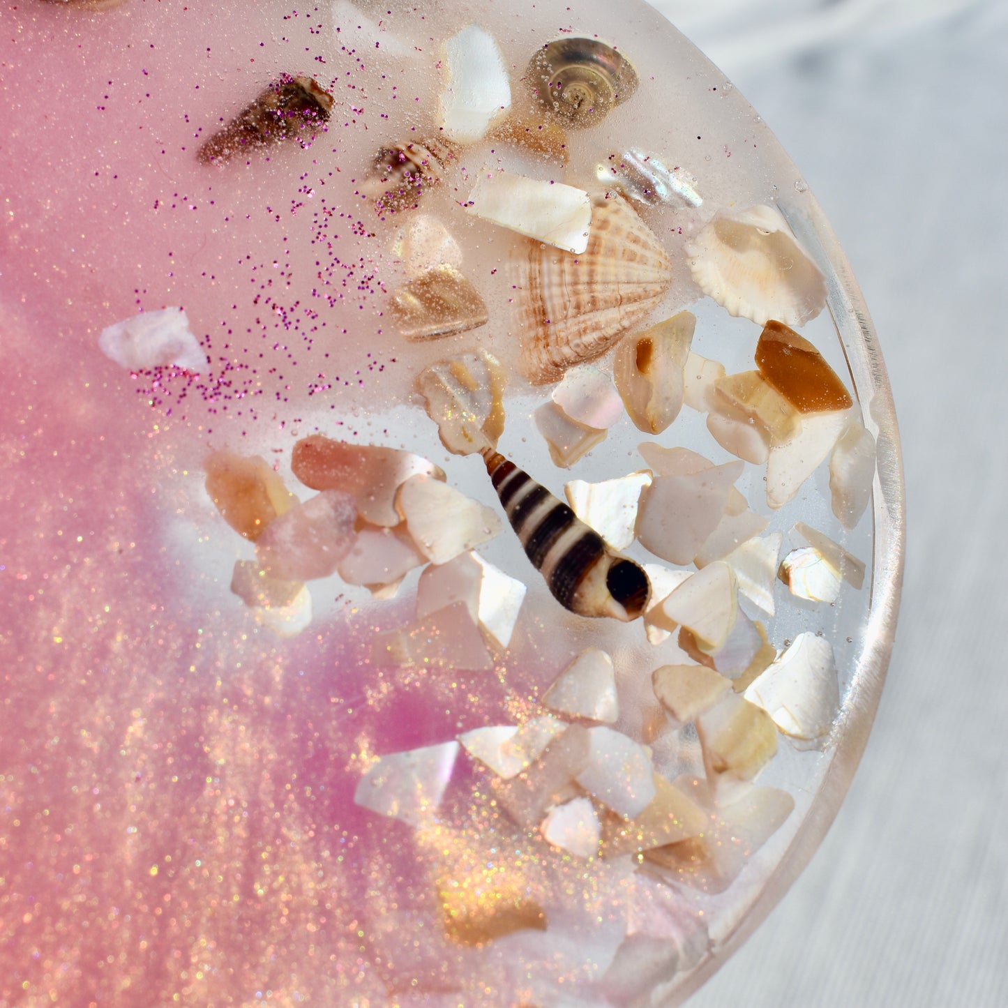 Seashell Coasters with Holder (Assorted Colors)