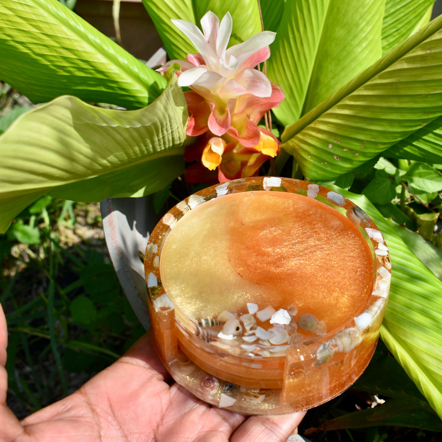 Seashell Coasters with Holder (Assorted Colors)
