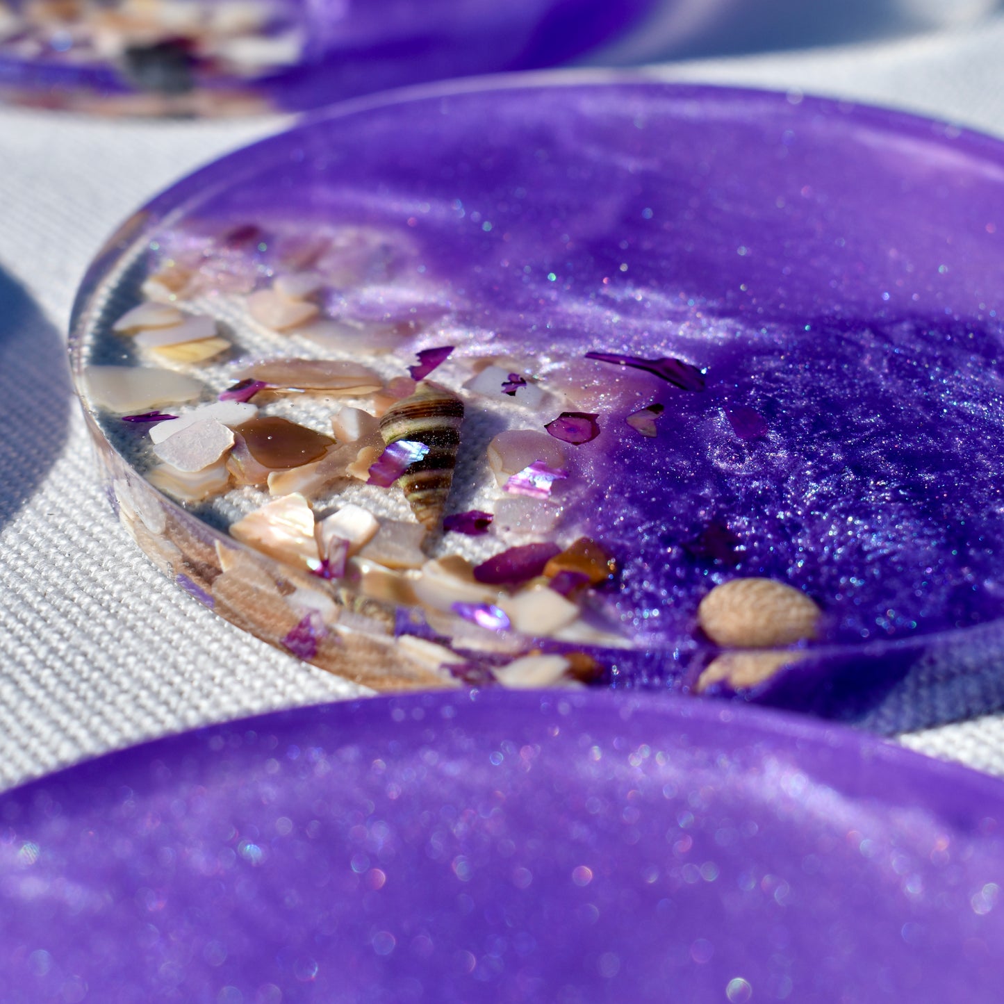 Seashell Coasters with Holder (Assorted Colors)