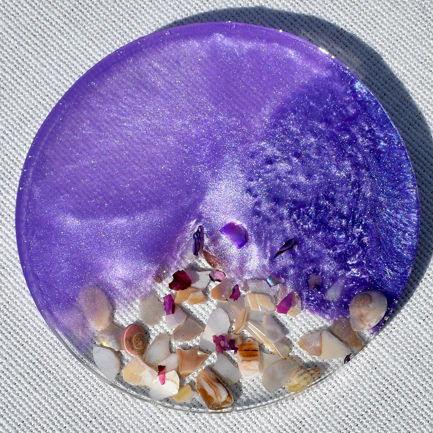 Seashell Coasters with Holder (Assorted Colors)