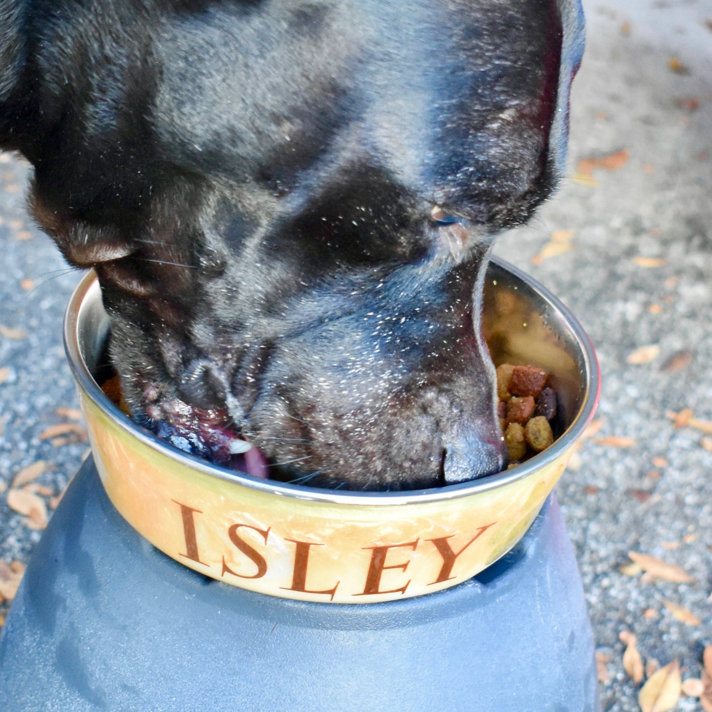 Personalized Stainless Steel Dog Food Bowl  - 2 Styles