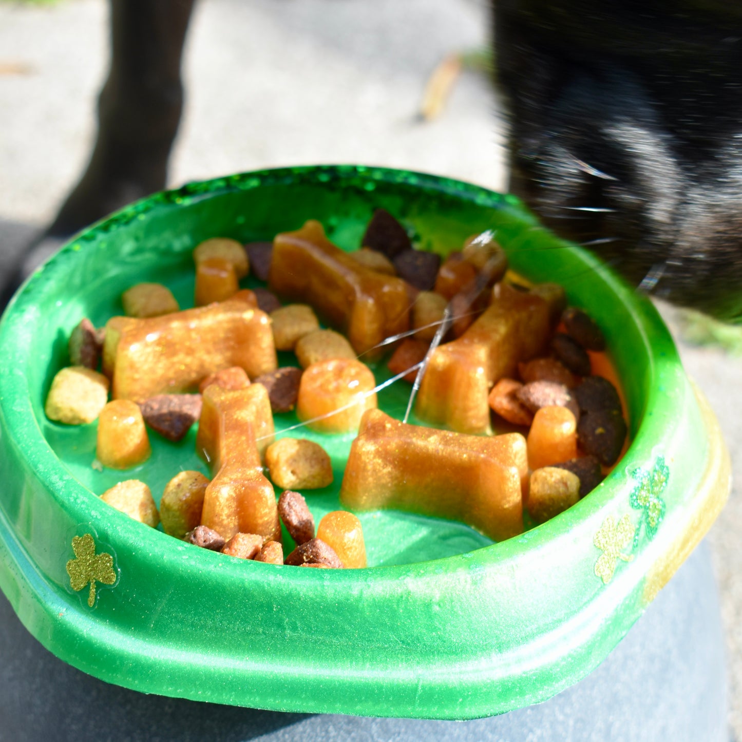 St. Patrick’s Day Personalized SLOW FEEDER Dog Bowl – Shamrock Personalized Pet Bowl - Pet Bowl with Name