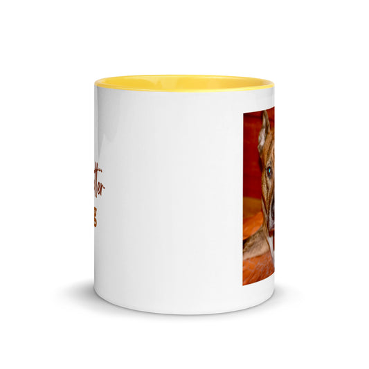 Mug with Color Inside
