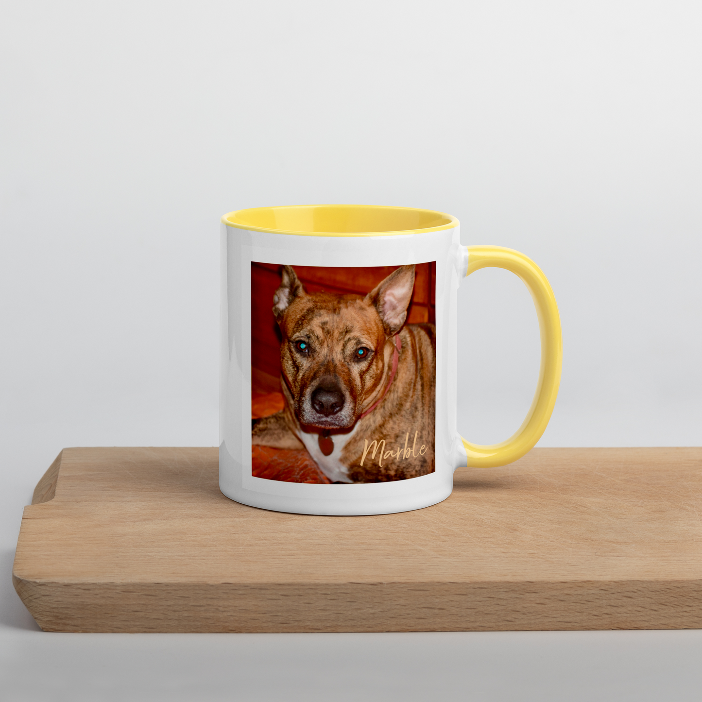 Custom DOG Lover Mug w Color Inside • Dog Photo Coffee Mug