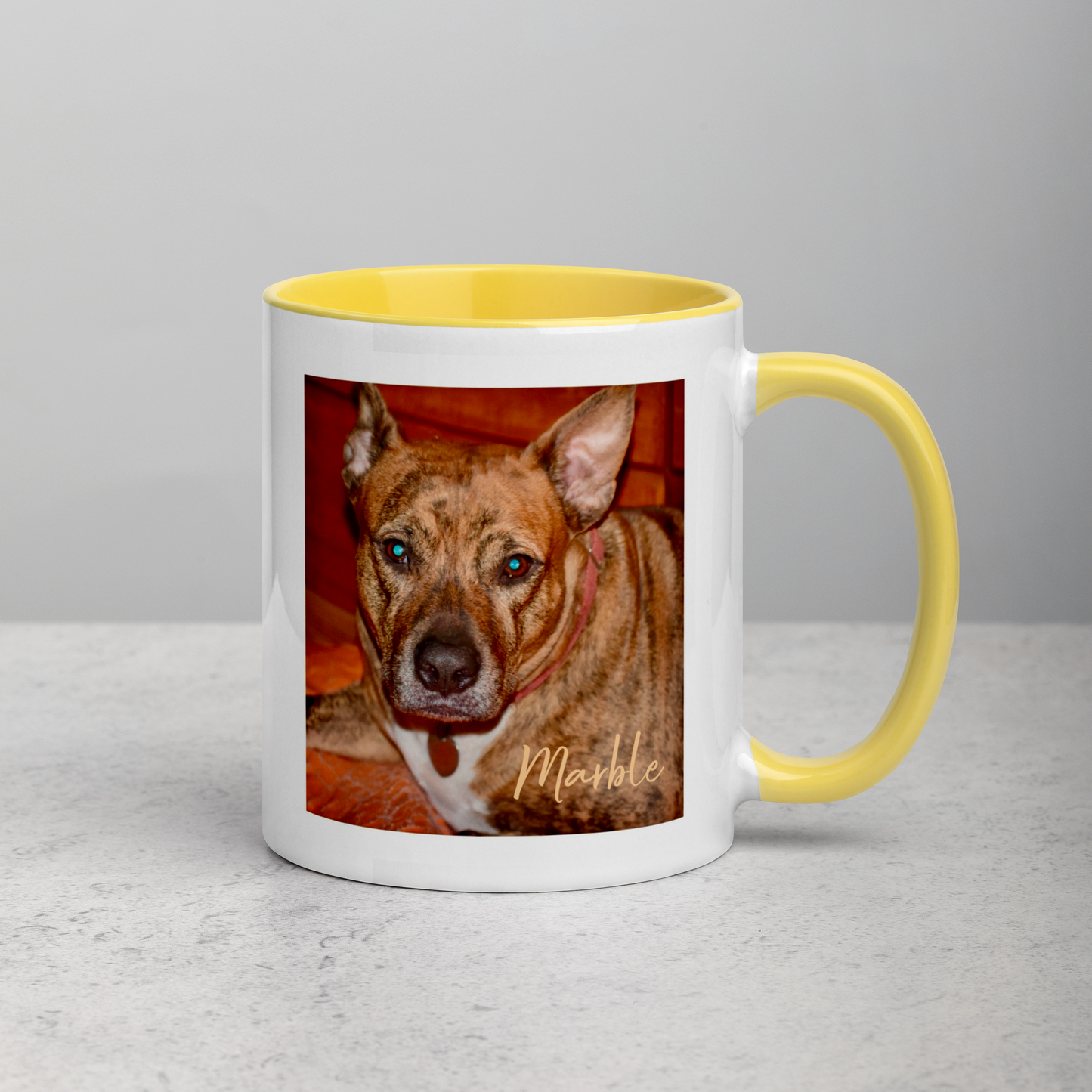 Custom DOG Lover Mug w Color Inside • Dog Photo Coffee Mug