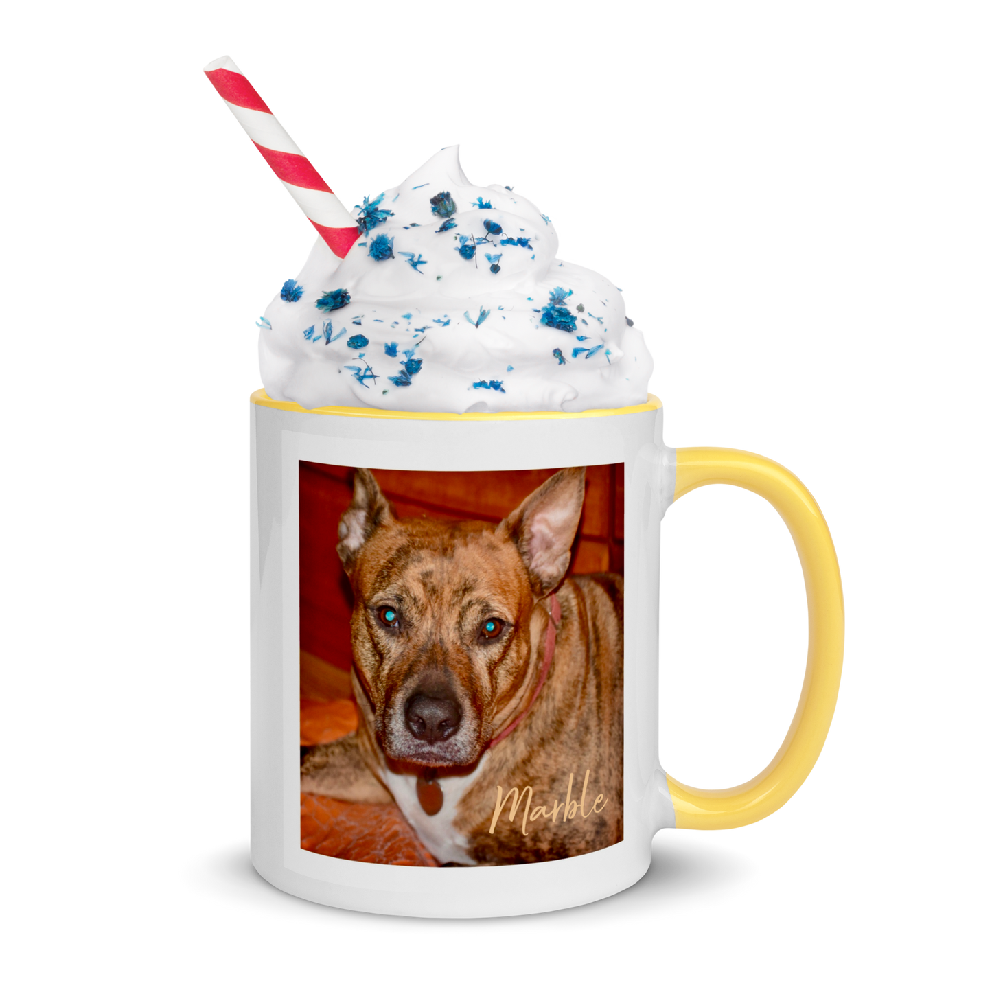 Custom DOG Lover Mug w Color Inside • Dog Photo Coffee Mug