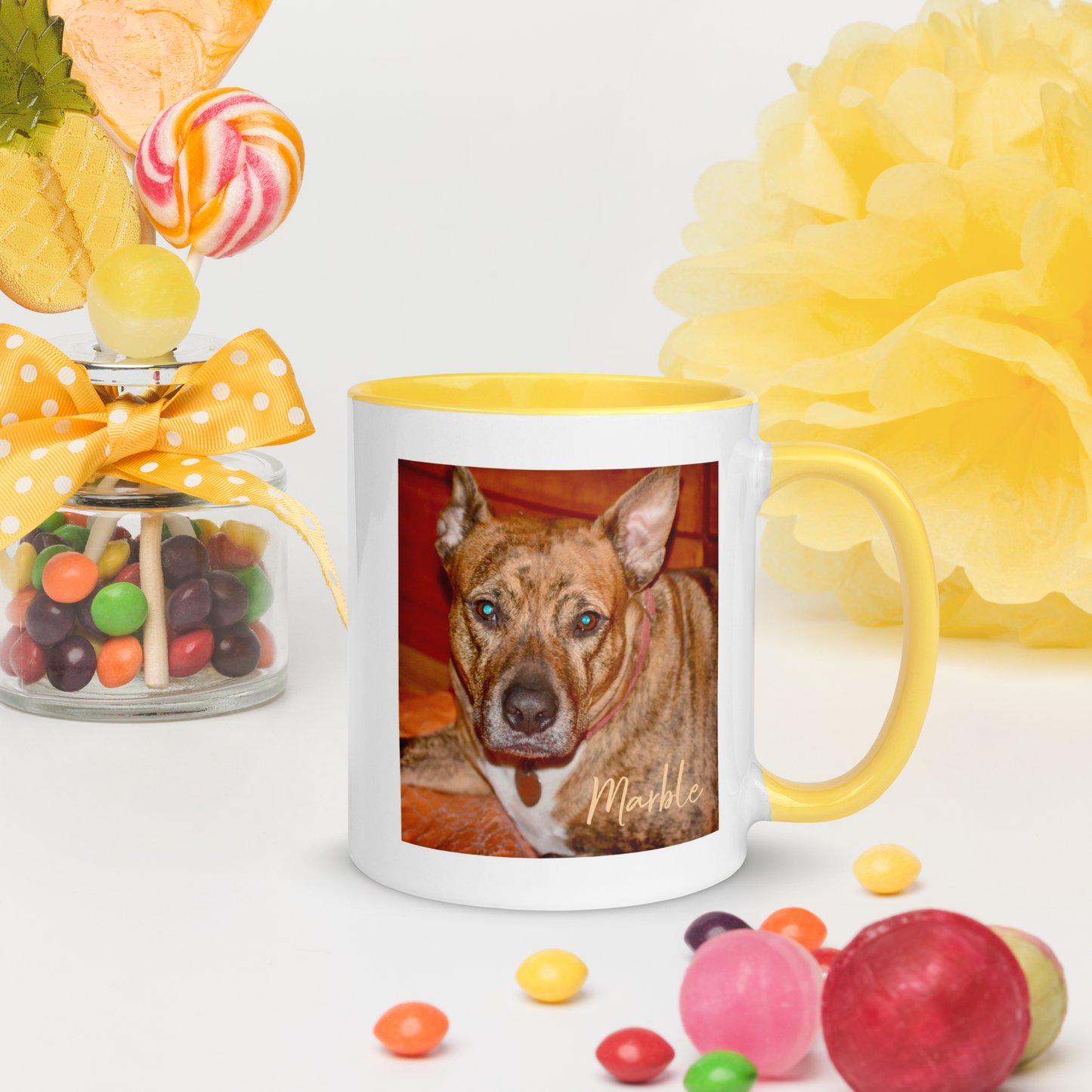 Custom DOG Lover Mug w Color Inside • Dog Photo Coffee Mug